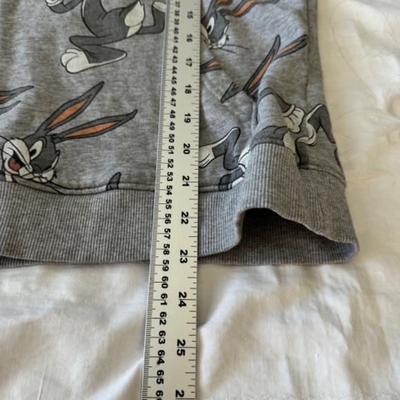 Looney Toons Kid's Bugs Bunny Long Sleeve Gray Pullover Hoodie Size XL (Kids) - Picture 9 of 11